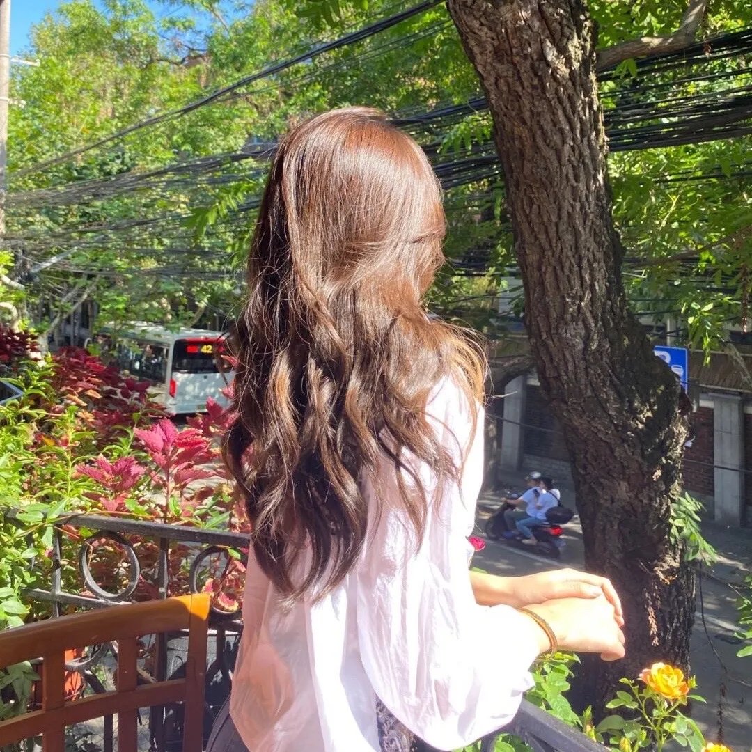 傲骨贤妻第七季