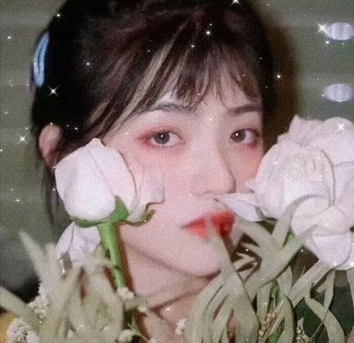 宝马狂想曲
