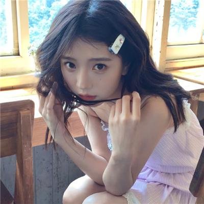科搜研之女第24季